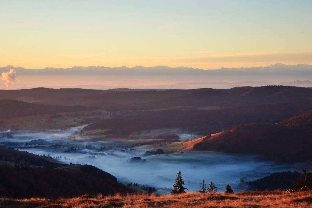 Echtes Schwarzwaldhaus - Traditionell & Modern Bernau im Schwarzwald Exteriér fotografie