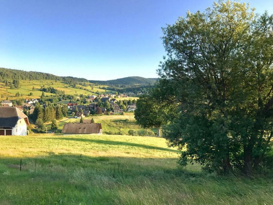 Echtes Schwarzwaldhaus - Traditionell & Modern Bernau im Schwarzwald Exteriér fotografie
